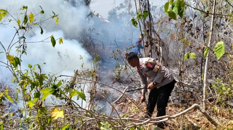 Polres dan Damkar Tual Kerjasama Padamkan Kebakaran Lahan