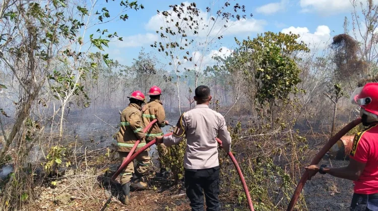 Polres dan Damkar Tual Kerjasama Padamkan Kebakaran Lahan
