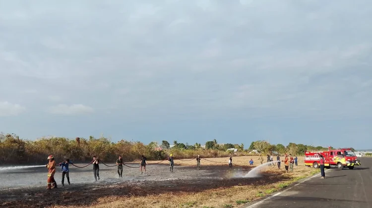 Kebakaran Lahan di Kawasan Bandara TNI AU Dumatubun
