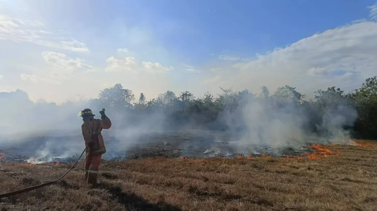 Kebakaran Lahan di Kawasan Bandara TNI AU Dumatubun