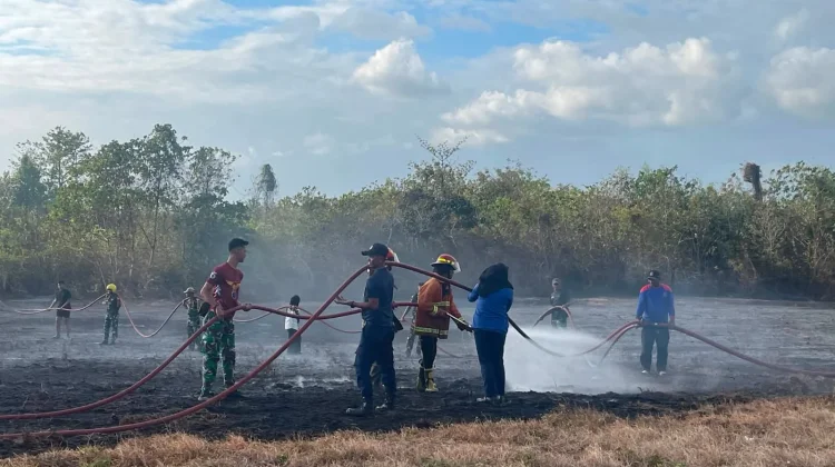Kebakaran Lahan di Kawasan Bandara TNI AU Dumatubun