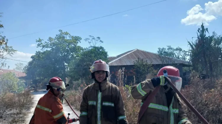 Kebakaran Lahan di Kawasan Budiloka Tual