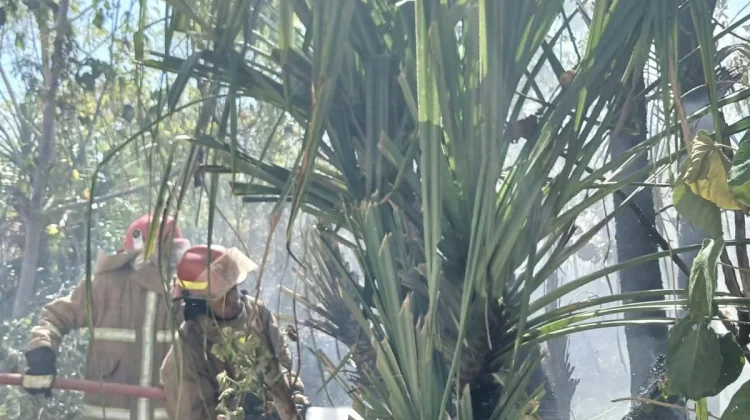Kebakaran Lahan di Kawasan Budiloka Tual