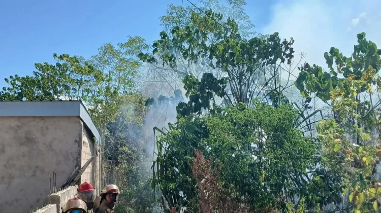 Kebakaran Lahan di Kawasan Budiloka Tual