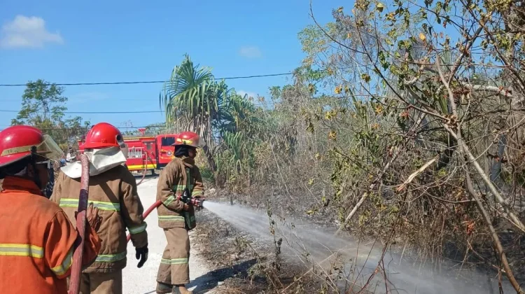 Kebakaran Lahan di Kawasan Budiloka Tual