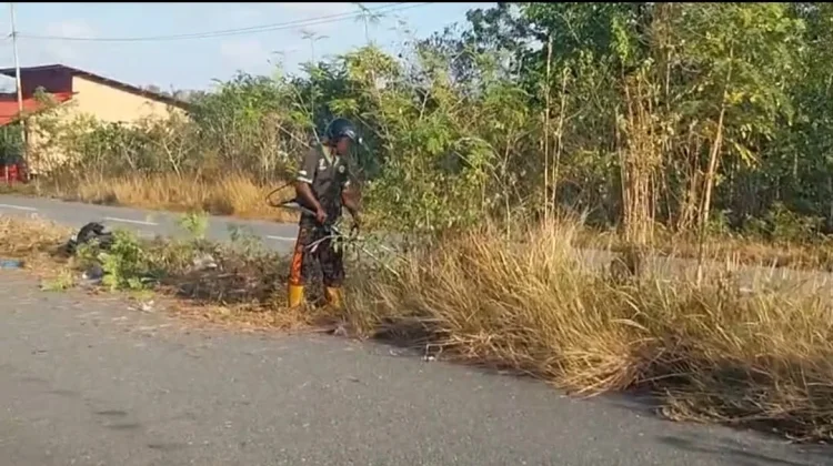 DLHK Tual Pangkas Median Jalan jelang Kegiatan Majelis Taklim