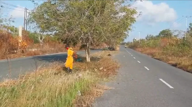 DLHK Tual Pangkas Median Jalan jelang Kegiatan Majelis Taklim