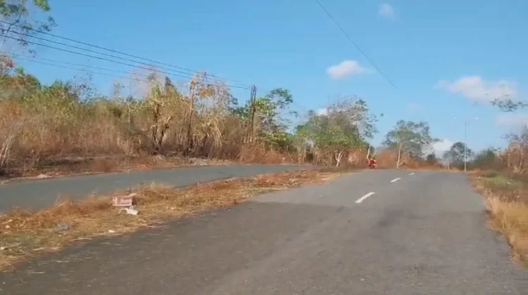 DLHK Tual Pangkas Median Jalan jelang Kegiatan Majelis Taklim