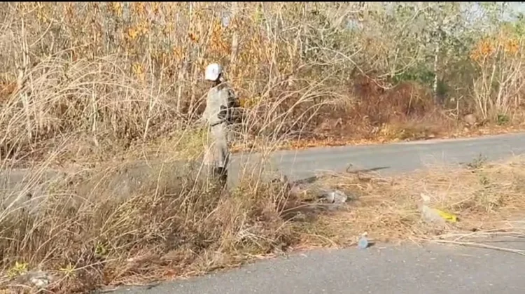 DLHK Tual Pangkas Median Jalan jelang Kegiatan Majelis Taklim