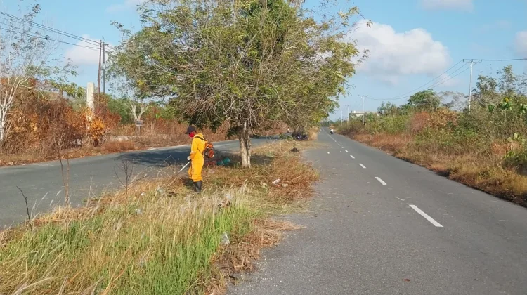 DLHK Tual Pangkas Median Jalan jelang Kegiatan Majelis Taklim