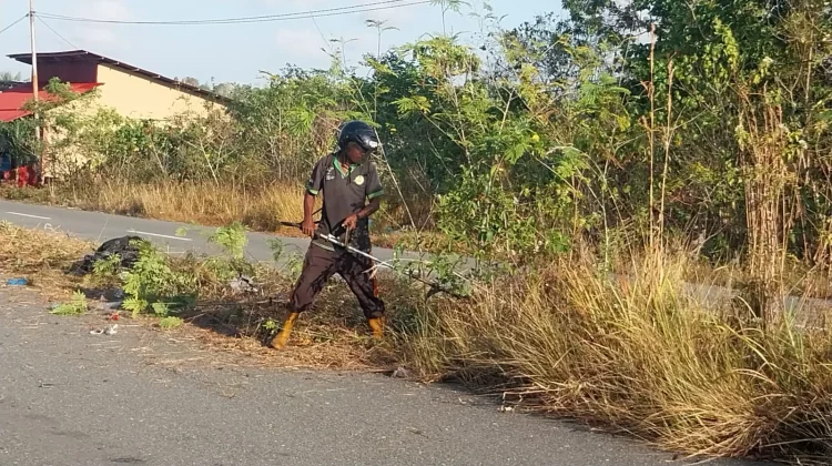 DLHK Tual Pangkas Median Jalan jelang Kegiatan Majelis Taklim