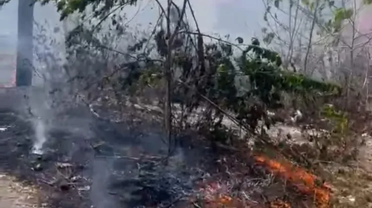 Kebakaran Lahan Terjadi di Jalan Dr. J. Laimena Tual