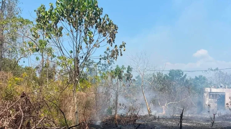 Kebakaran Lahan Terjadi di Jalan Dr. J. Laimena Tual
