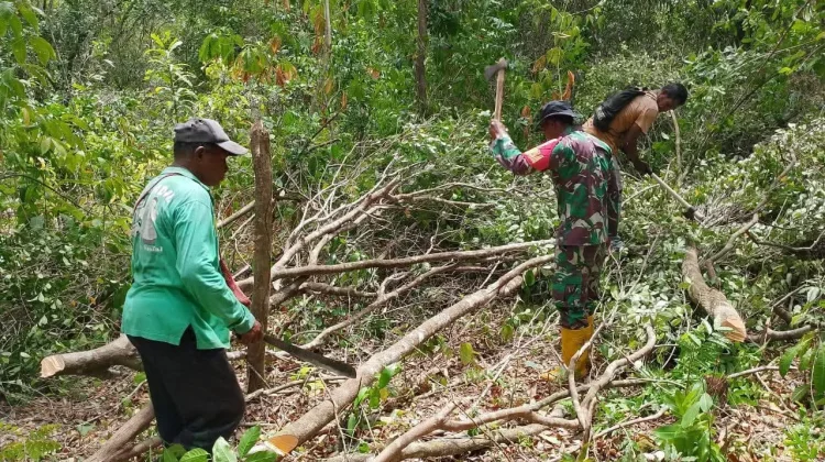 Babinsa Bersama Warga Tubyal Ambil Kayu untuk Pagar Kebun