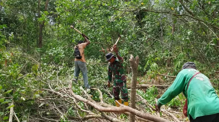 Babinsa Bersama Warga Tubyal Ambil Kayu untuk Pagar Kebun