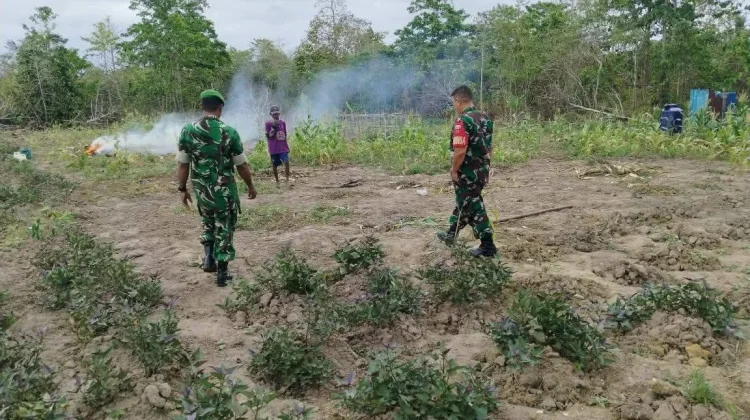 Koramil 1503-03/Dobo Imbau Warga Cegah Kebakaran Hutan saat Berkebun