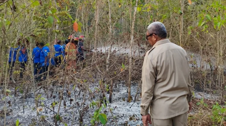 Bupati Malra Gerak Cepat Tangani Kebakaran di Dua Titik Langgur