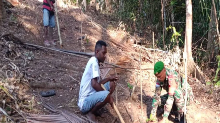 Babinsa dan Warga Ngaibor Tanam 200 Bibit Cengkeh