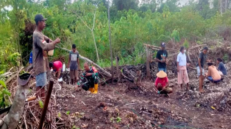 Babinsa bersama Warga, Semangat Tanam Cabai Tak Surut meski Lahan Berbatu