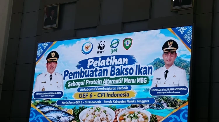 Pelatihan Bakso Ikan Dukung Program MBG di Maluku Tenggara