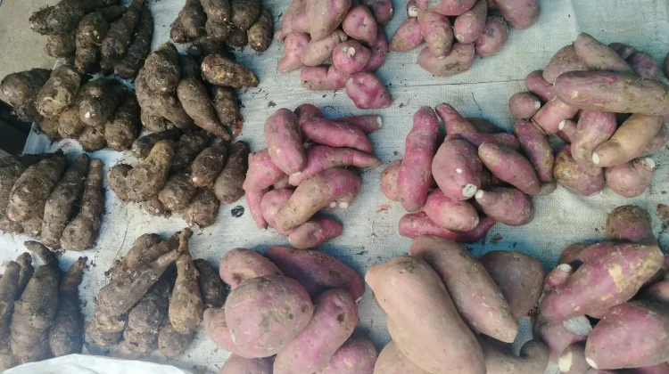 Harga Pangan di Pasar Langgur Bergerak, Sejumlah Komoditas Masih Stabil