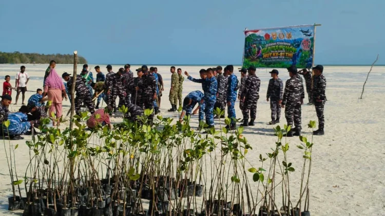 Kodim 1503/Tual Bersama Masyarakat Tanam Mangrove di Ohoidertawun
