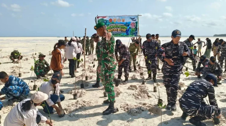 Kodim 1503/Tual Bersama Masyarakat Tanam Mangrove di Ohoidertawun