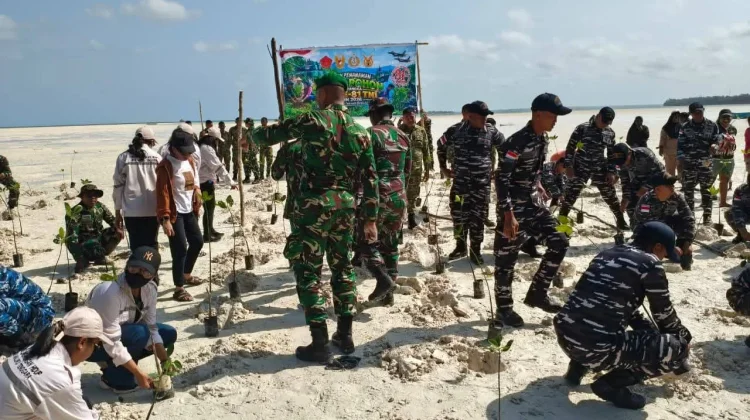 Kodim 1503/Tual Bersama Masyarakat Tanam Mangrove di Ohoidertawun