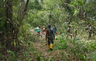 Babinsa Bersama Warga Tubyal Ambil Kayu untuk Pagar Kebun
