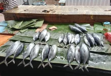 Cuaca Ekstrim, Harga Ikan Melonjak Tinggi