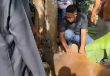 Kodim 1503/Tual Tebar Kepedulian di Hari Raya Idul Adha 1447H