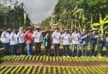 GKMBM Jadi Wadah Sinergi Wujudkan Kemandirian Pangan Daerah