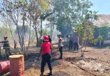 Polres dan Damkar Tual Kerjasama Padamkan Kebakaran Lahan