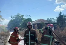 Kebakaran Lahan di Kawasan Budiloka Tual