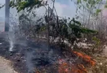 Kebakaran Lahan Terjadi di Jalan Dr. J. Laimena Tual