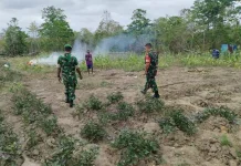 Koramil 1503-03/Dobo Imbau Warga Cegah Kebakaran Hutan saat Berkebun