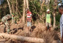 Babinsa dan Warga Ngaibor Tanam 200 Bibit Cengkeh