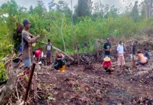 Babinsa bersama Warga, Semangat Tanam Cabai Tak Surut meski Lahan Berbatu