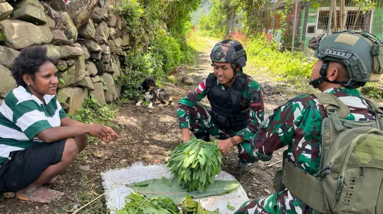 Satgas Yonif 511/DY Borong Hasil Bumi Warga di Kanggime