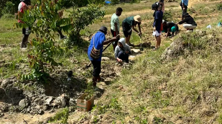 Mari Menanam Pohon untuk Menyelamatkan Kehidupan