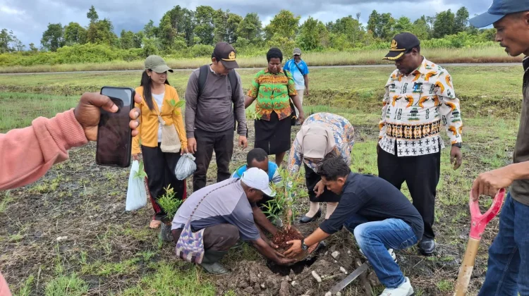 Dinas Pendidikan Nduga Tanam Pohon Dukung Program Jumat Bersih