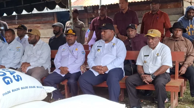 Pemkab Jayawijaya Kembali Bantu Korban Konflik Yang ada di Walelagama dan Musaima