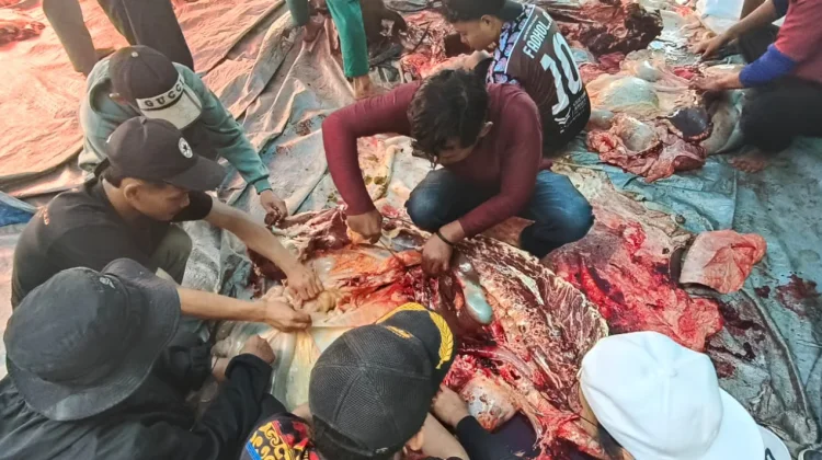 Idul Adha Penuh Kepedulian, LDII Jayawijaya Tebar 400 Kantong Daging