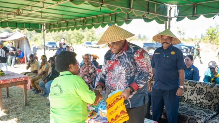Pemprov Papua Pegunungan Dorong Ketahanan Pangan Melalui Pengembangan Sawah