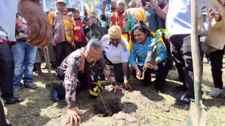 Dorong Pangan Lokal Berkelanjutan Pemkab Jayawijaya Tanam Pohon di Yalengga