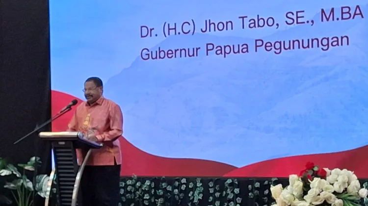 Layanan Kesehatan Papua Pegunungan Diperkuat, Kemenkes Gandeng 14 RS Nasional