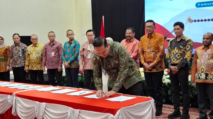 Layanan Kesehatan Papua Pegunungan Diperkuat, Kemenkes Gandeng 14 RS Nasional