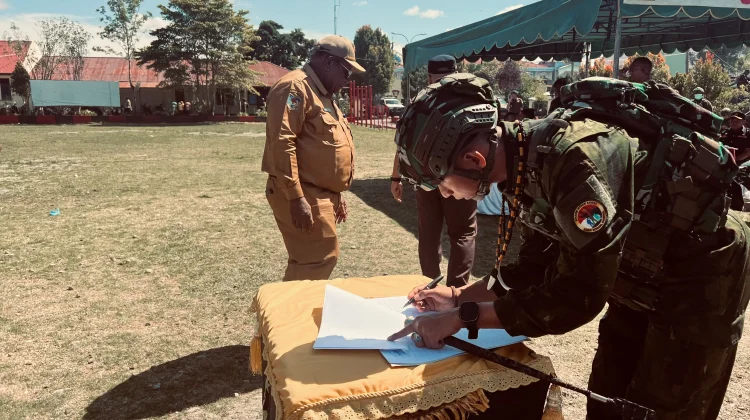 Ribuan Pohon Ganja Temuan Satgas Pamtas RI-PNG 725/WRG Dimusnahkan di Wamena