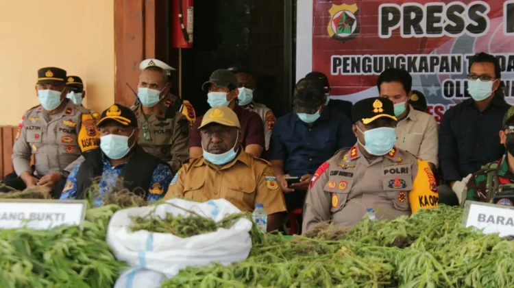Pohon Ganja Hasil Temuan di Kampung Simimbuk Dimusnahkan Satgas TNI-Polri