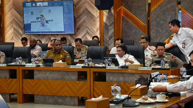 Pemerintah Pusat Percepat Penanganan Pascakonflik Jayawijaya dan Lanny Jaya